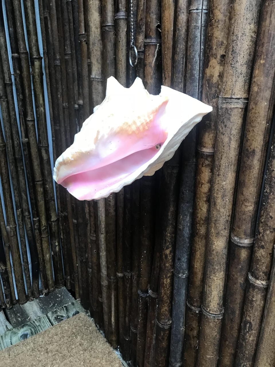 Conch Foot Shower