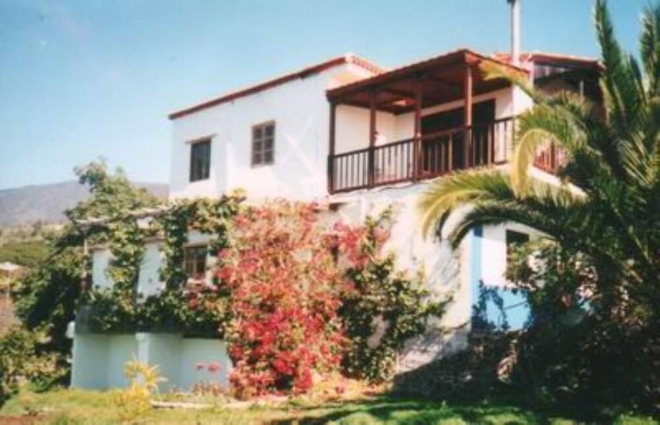 Garden, Park