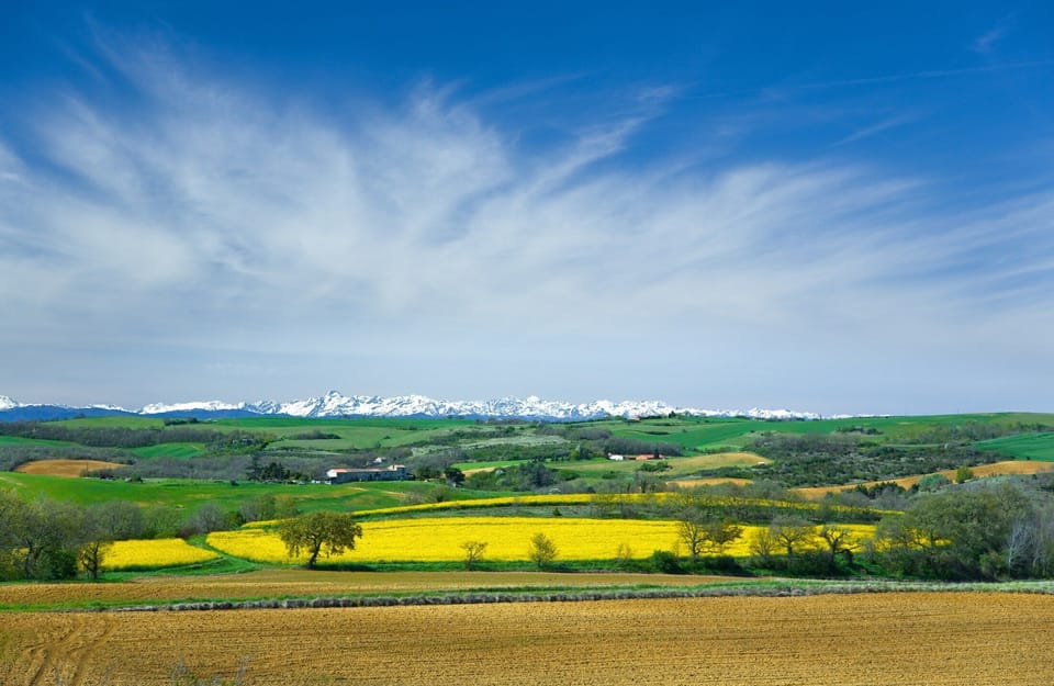 Landscape auround Château La Commanderie