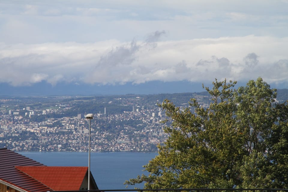 View from property