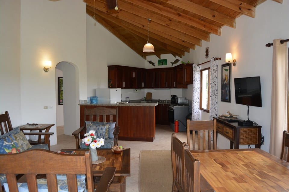 Living area and kitchen