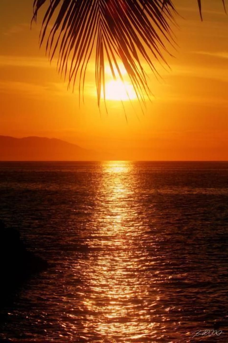 Daydreaming of Sunsets on the beach