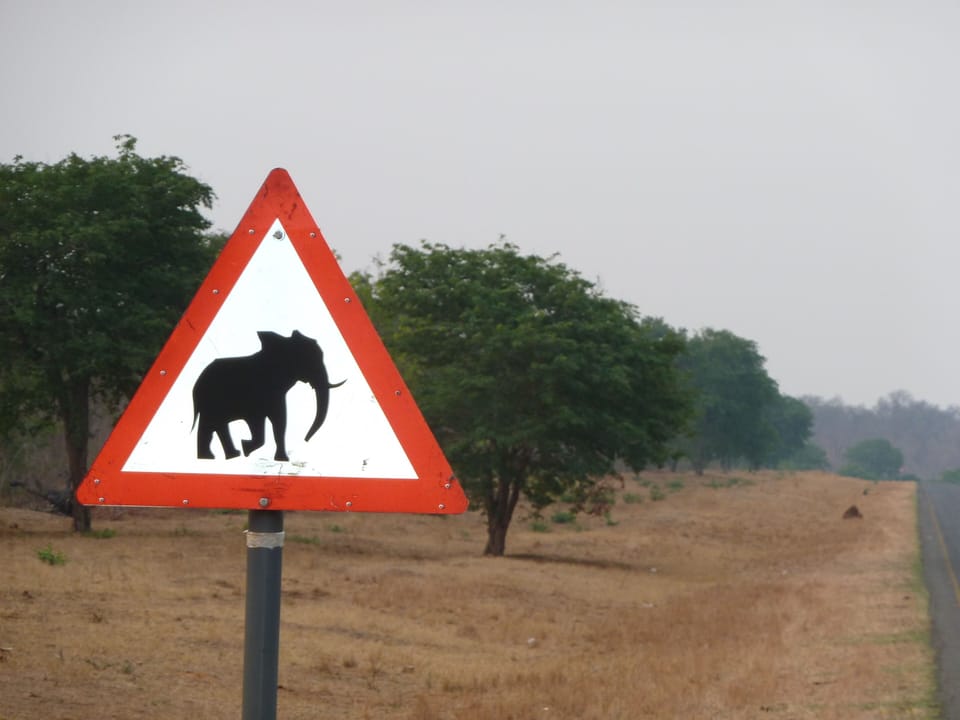 Elephant territory... but the poaching must be stopped!