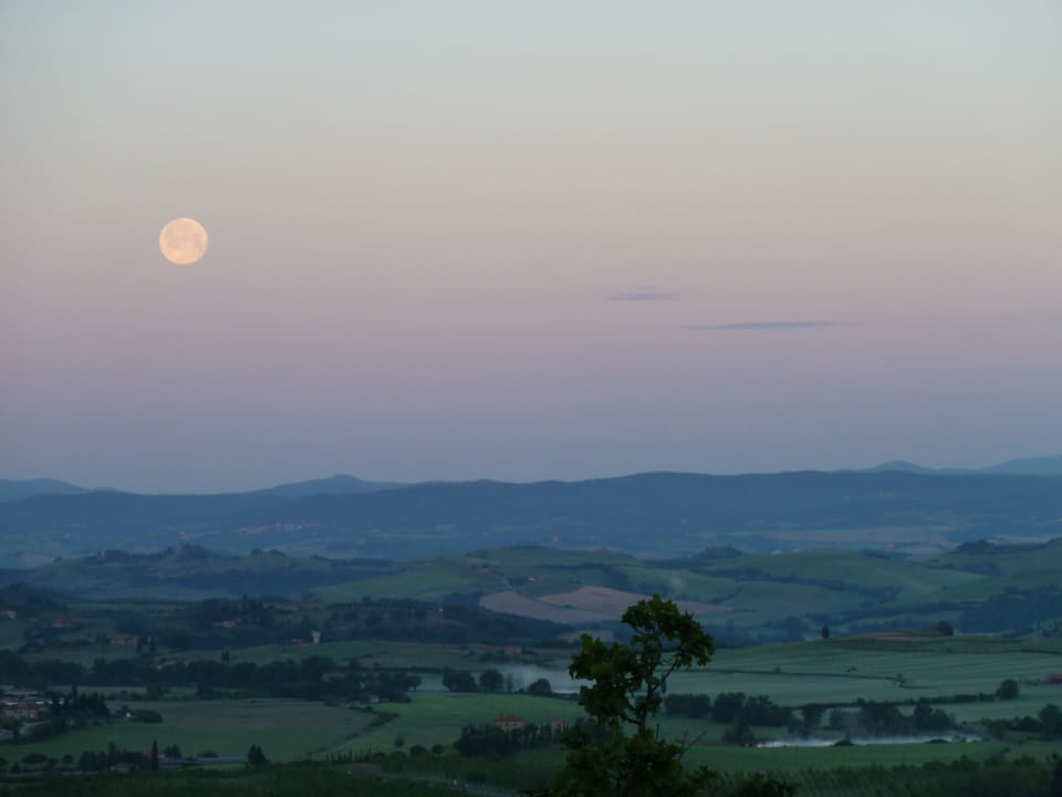 Tweety Home  is a precious relaxing corner in the heart of the Crete Senesi. Apartment in Tuscany