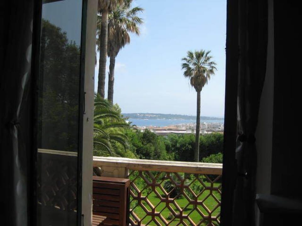 view from the terrace