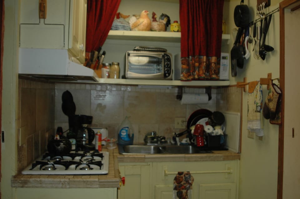 Kitchen in Cabin