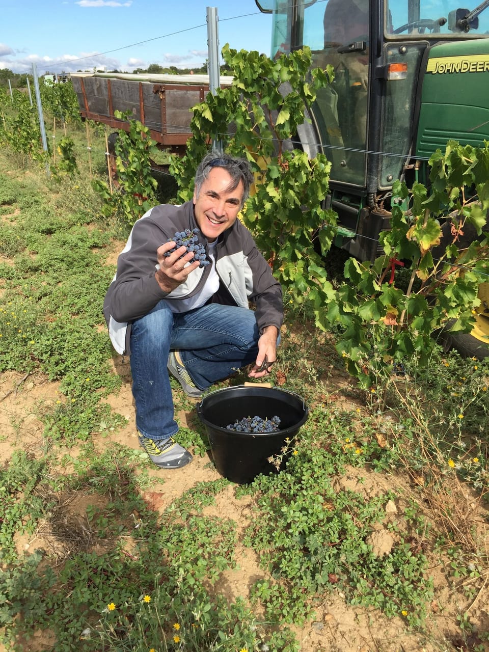 Great wine starts with great grapes. Pézenas is in the midst of wine country.