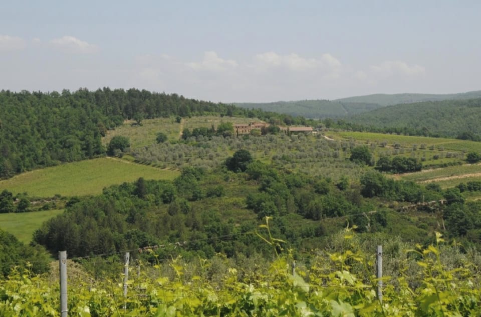 Agriturismo Cerbaia Chianti area - Oleandro apartment  Apartment in Tuscany