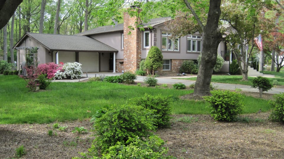 Another view of the gorgeous yard...