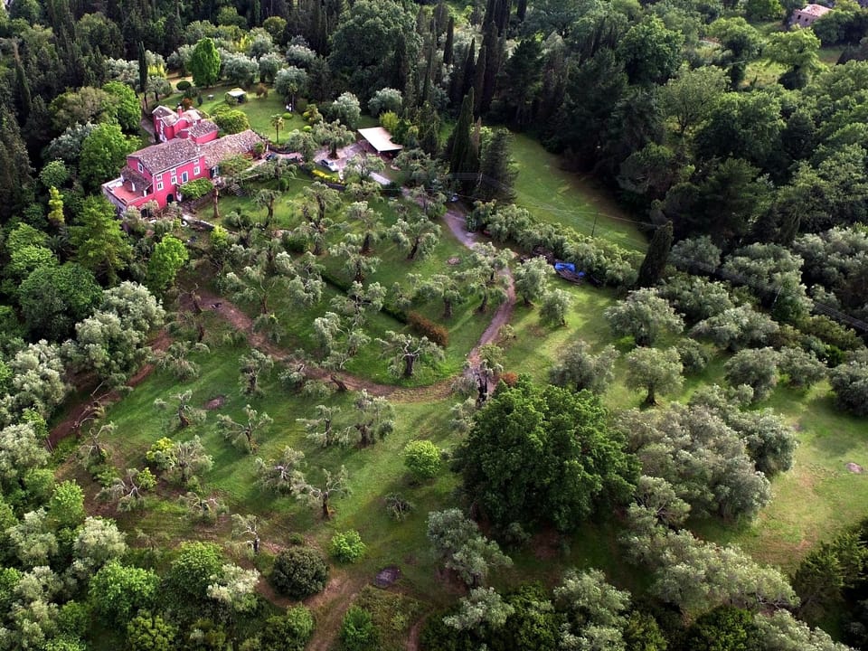 Aerial view