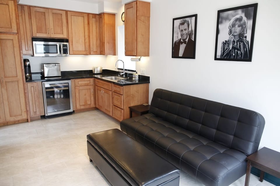 Euro Lounger in Family Room reclines to sleep one additional person