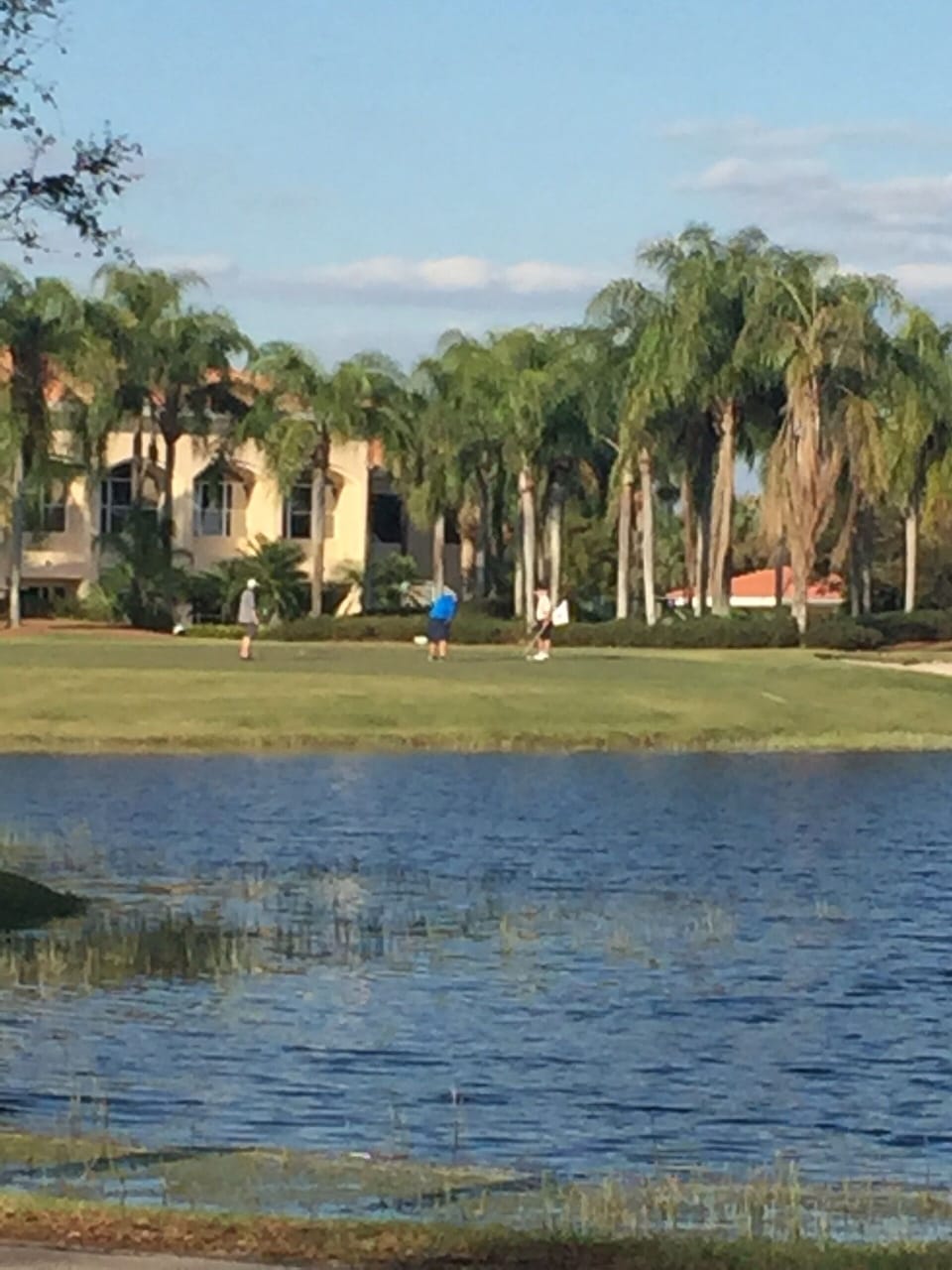 Golf course 