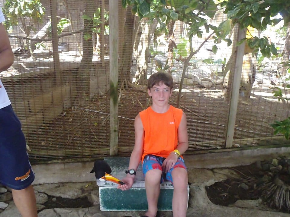 My eldest son feeds a Tucan at Ocean World
