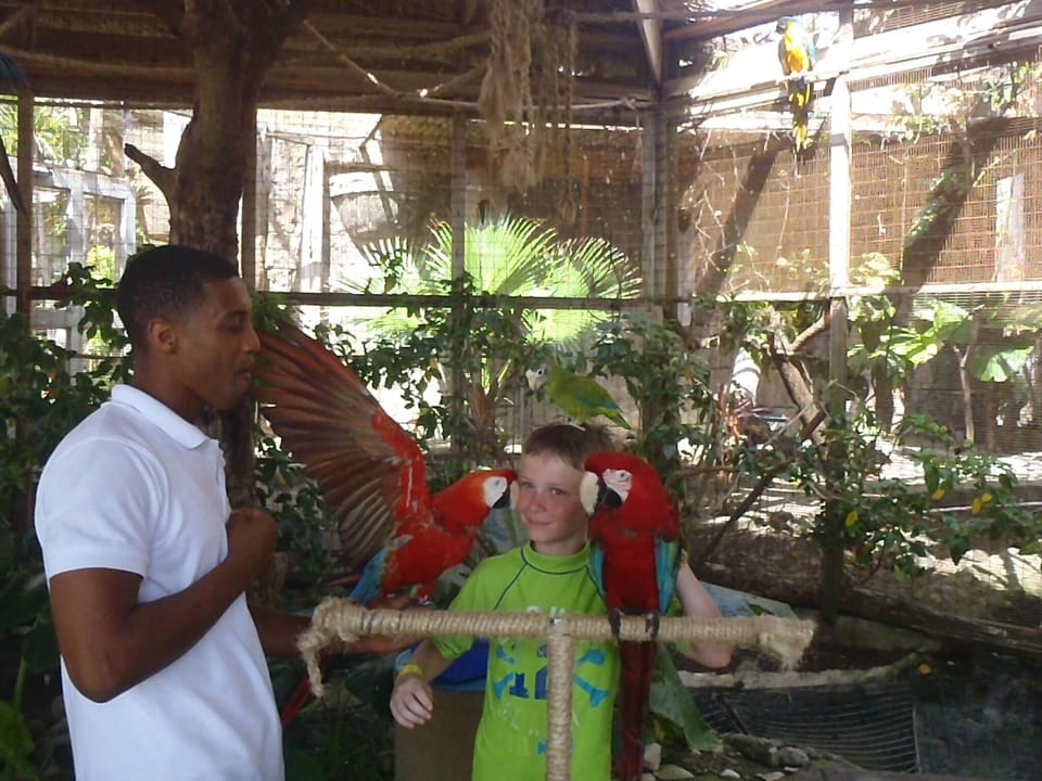 My youngest son gets a little kiss from a Macaw at Ocean World