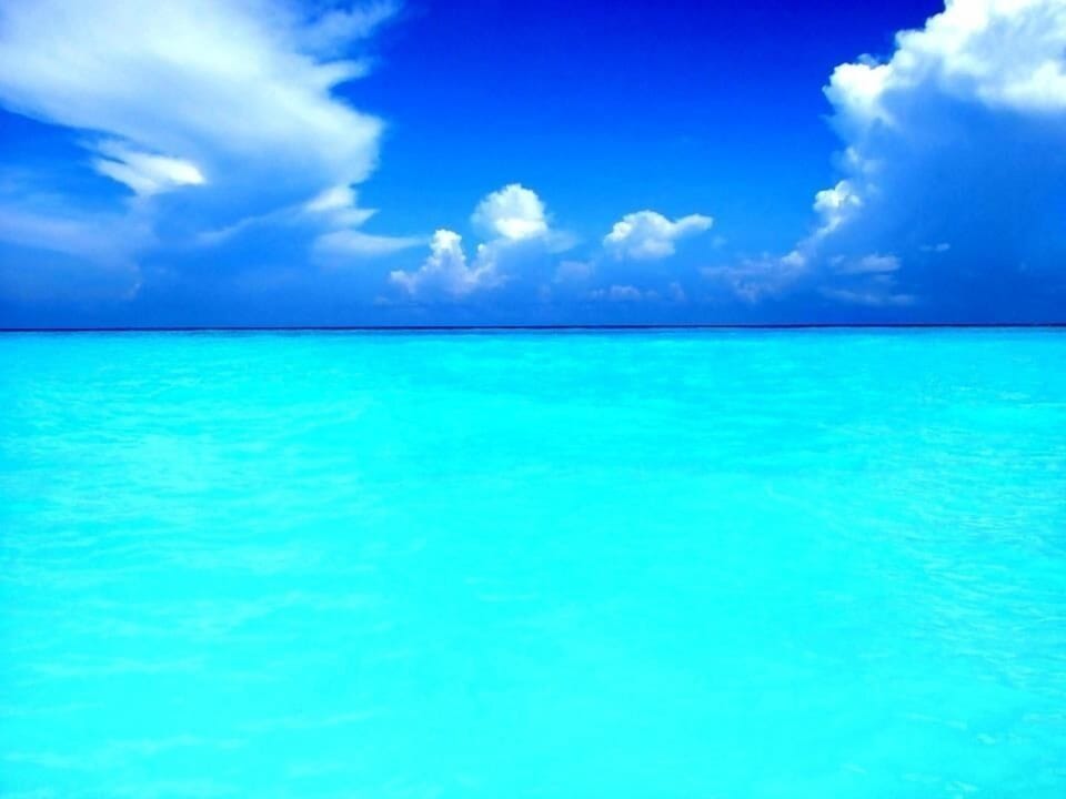 Pure Paradise Awaits