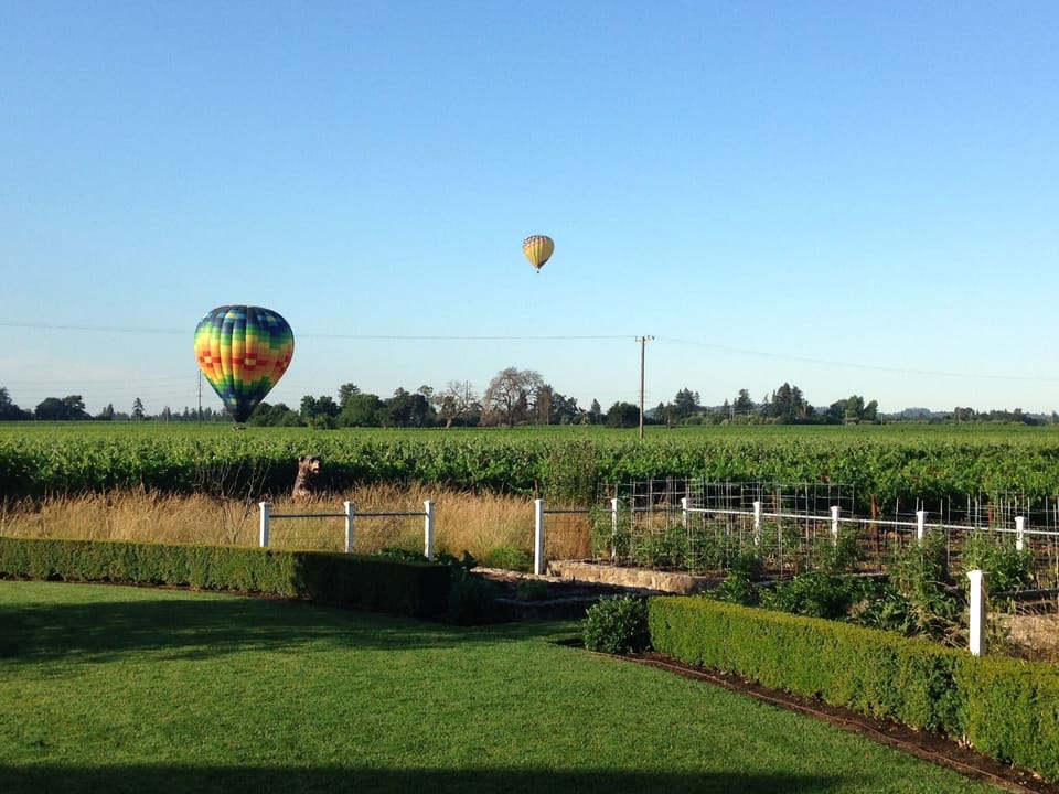 Balloons Landing Nearby - SEE VIDEO