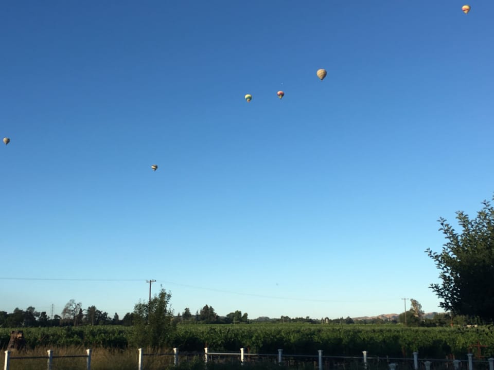 Balloons floating south from Yountville - SEE VIDEO