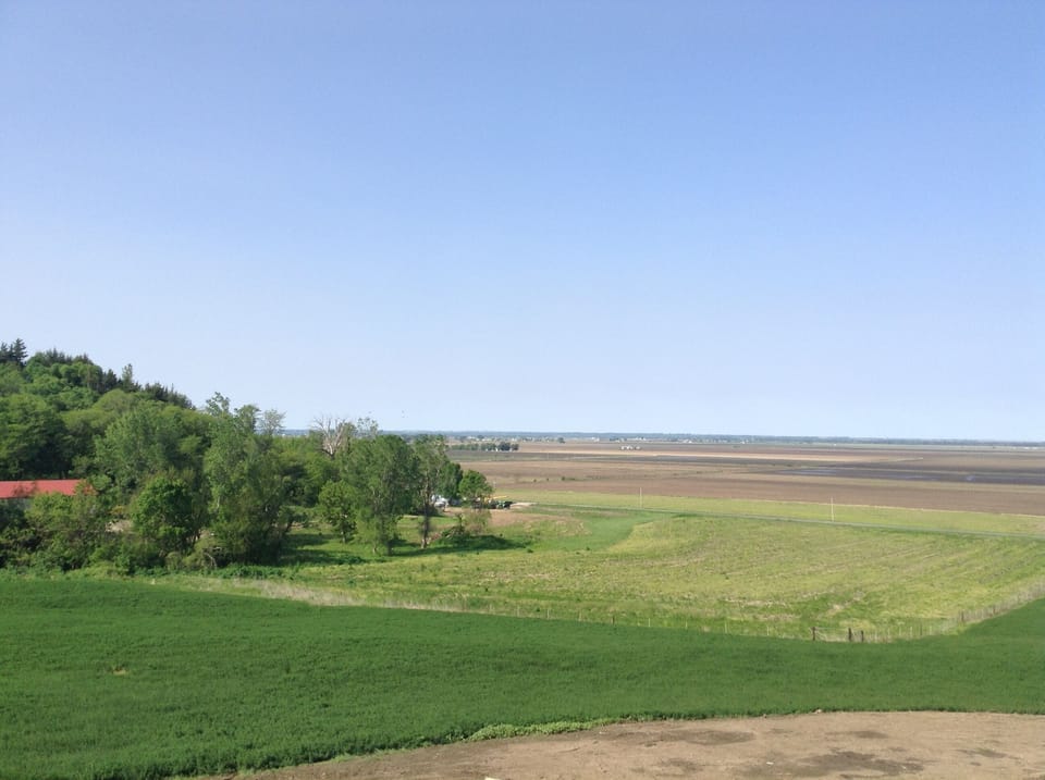 View From Deck