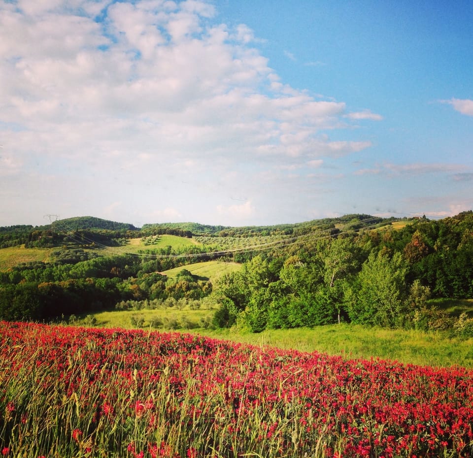 Spring at Agriturismo Le Capanne