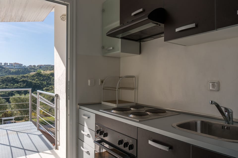 Compact modern kitchen opens to a great view