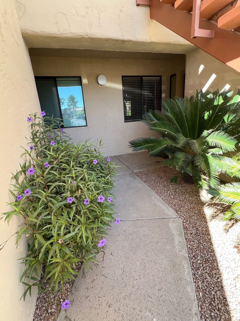 Shaded entry way framed with desert greenery  