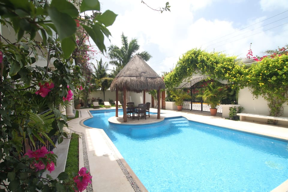 Pool and Palapa for laps and naps!