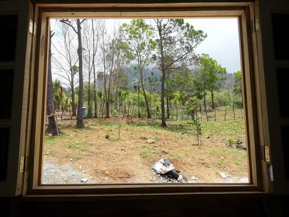 THIS IS THE VIEW FROM KITCHEN :D