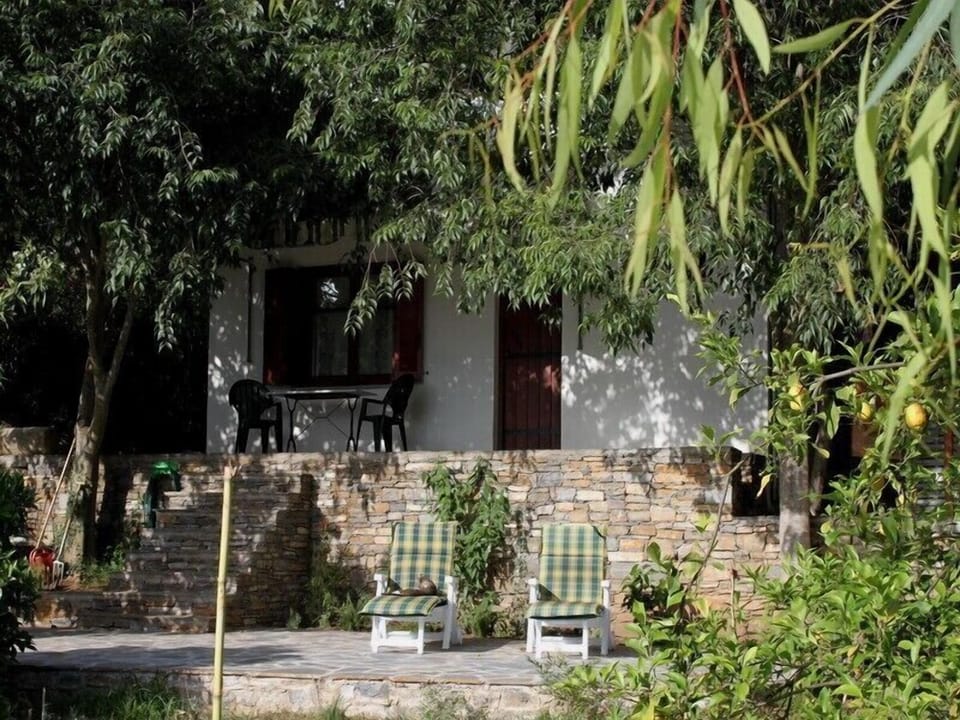 The terrace below the downstairs Studio