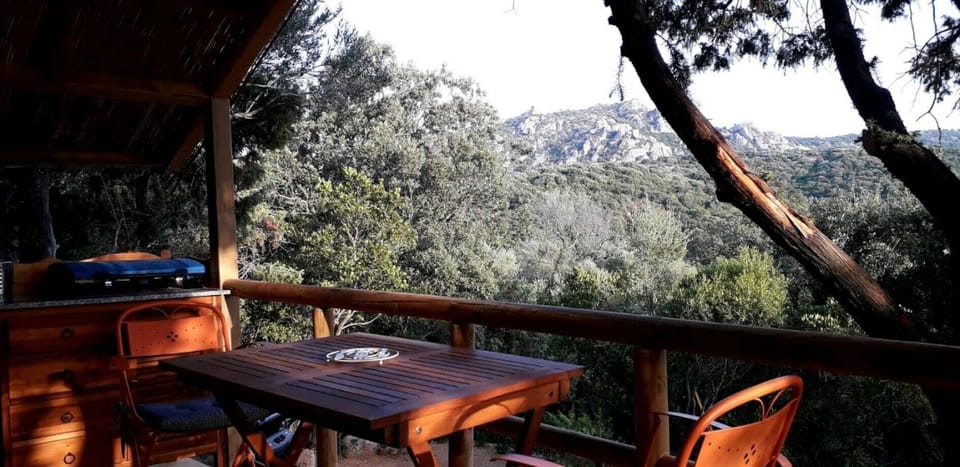 View from your Terrace and Kitchen