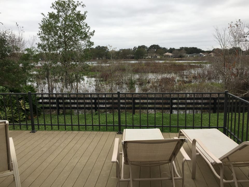 View of wetlands/nature preserve from rear deck.