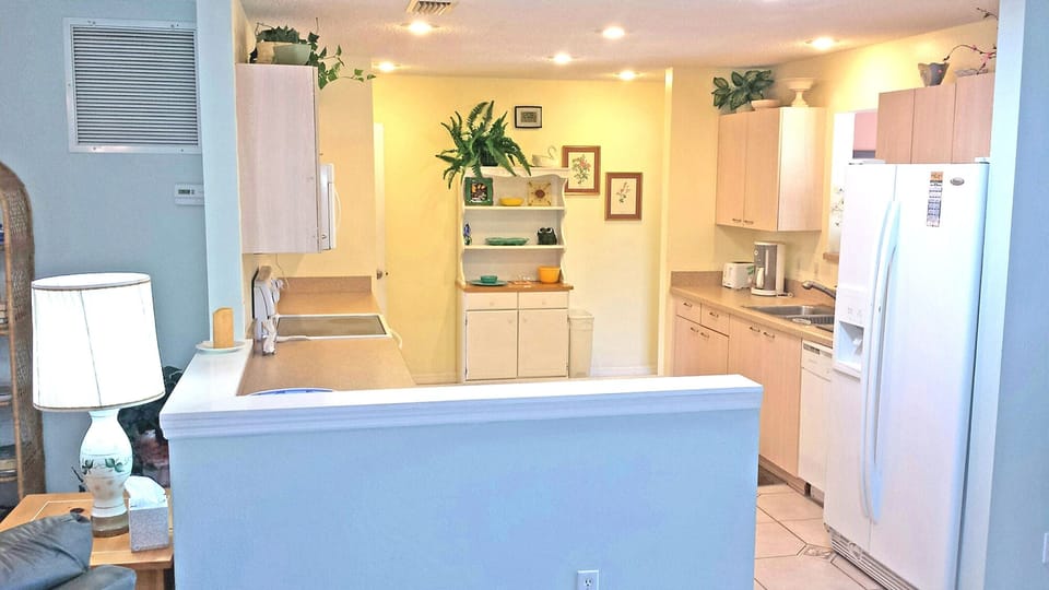 Kitchen open to living area