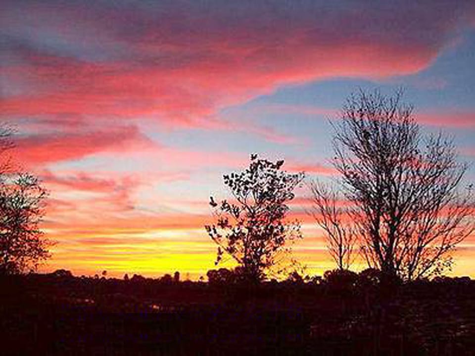 Sunset from deck looking over the wetlands