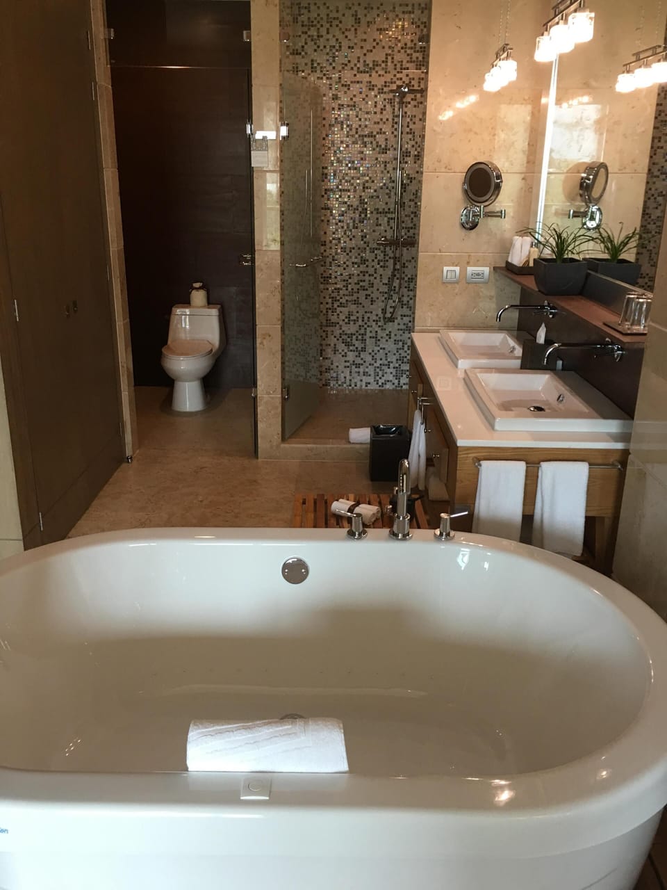 Ensuite bathroom for Bedroom 1