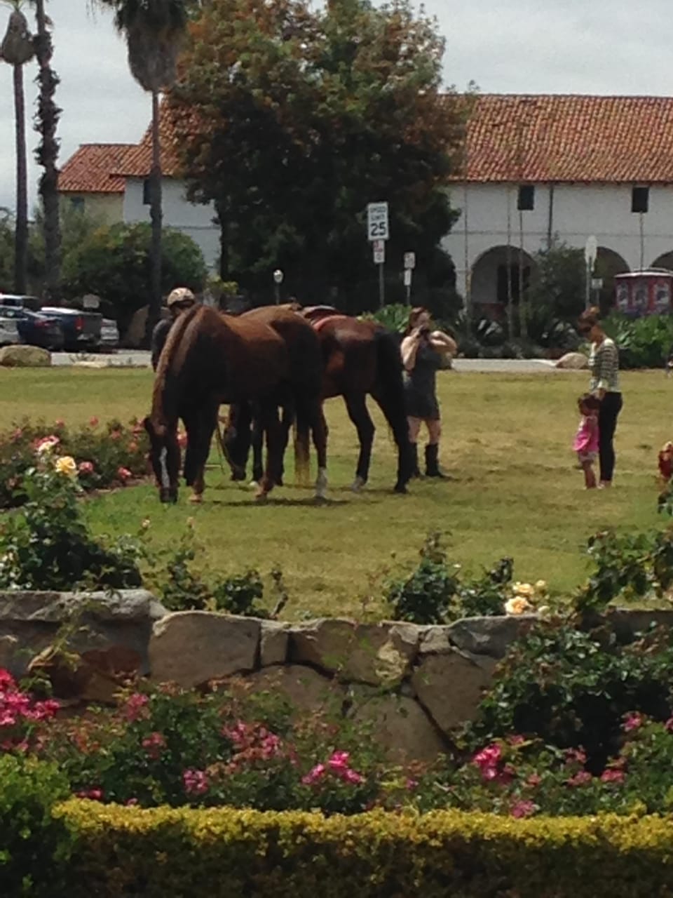 a fun sighting at the Mission