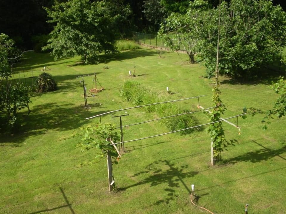 Garden, Park