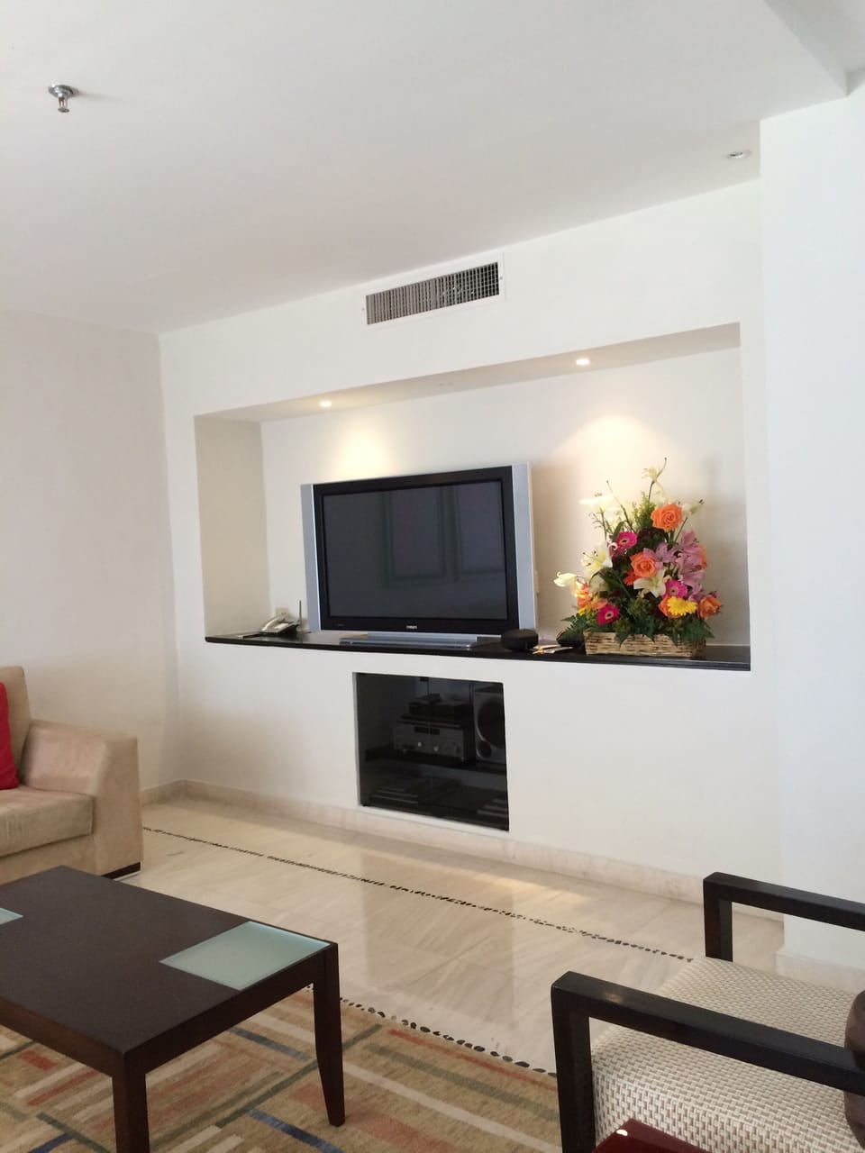 living room with tv and dvd player
