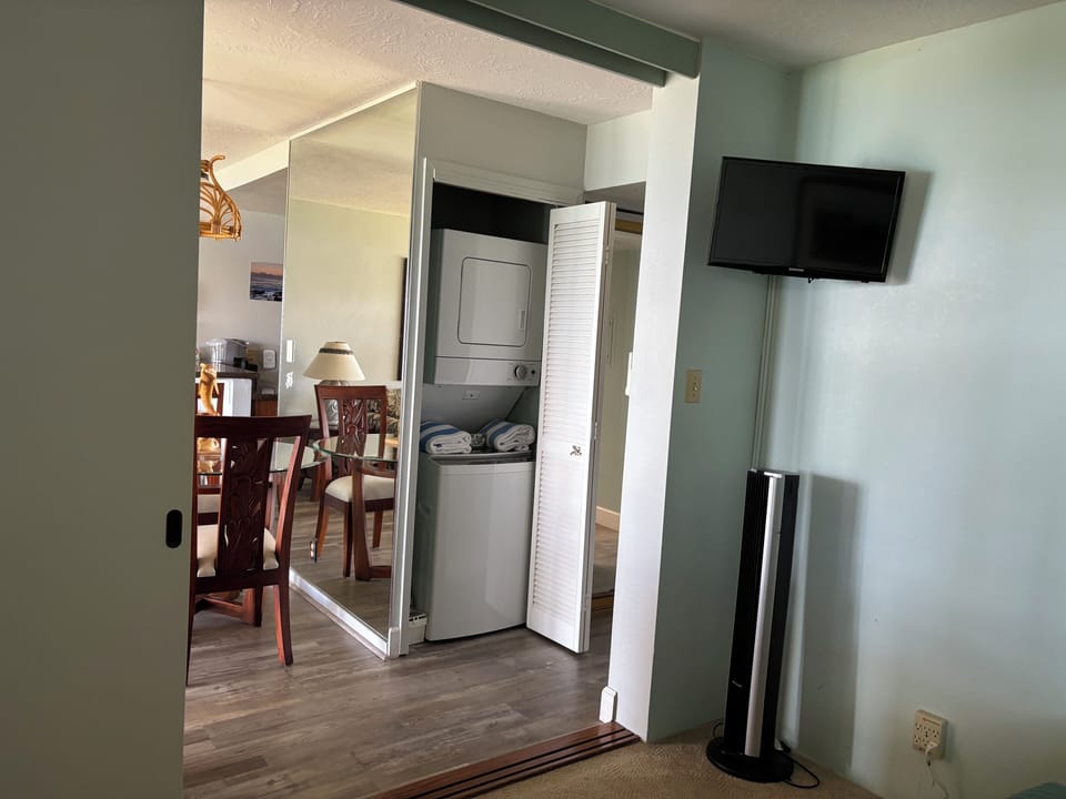 TV in bedroom as well as living room. Washer dryer behind louvered doors.