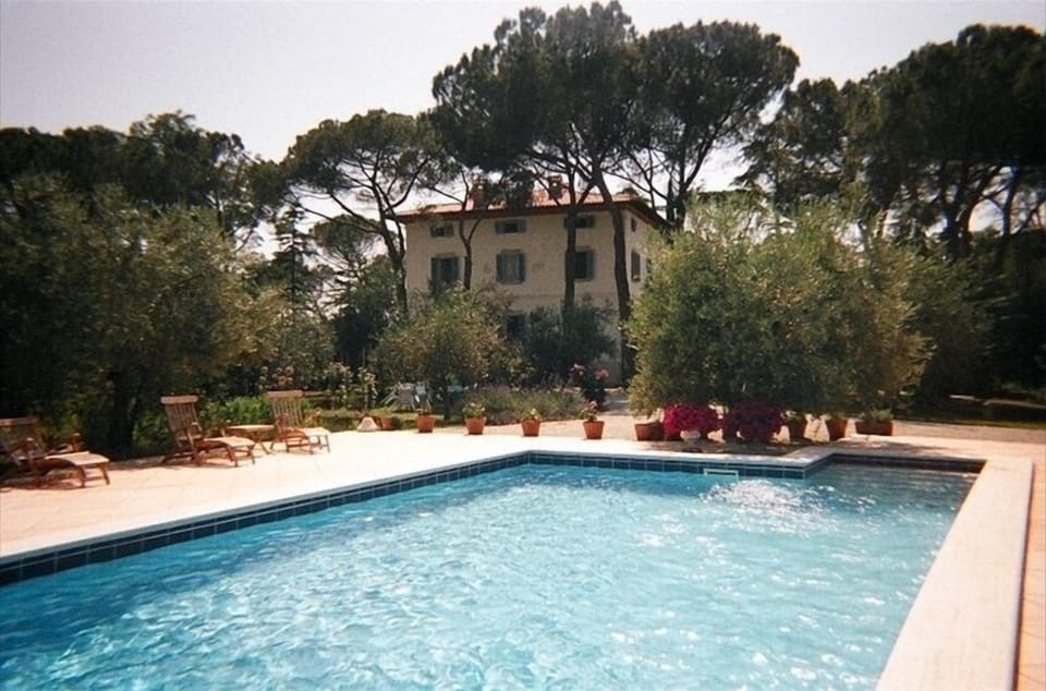 The 6m x 13m swimming pool is surrounded by the olive grove.
