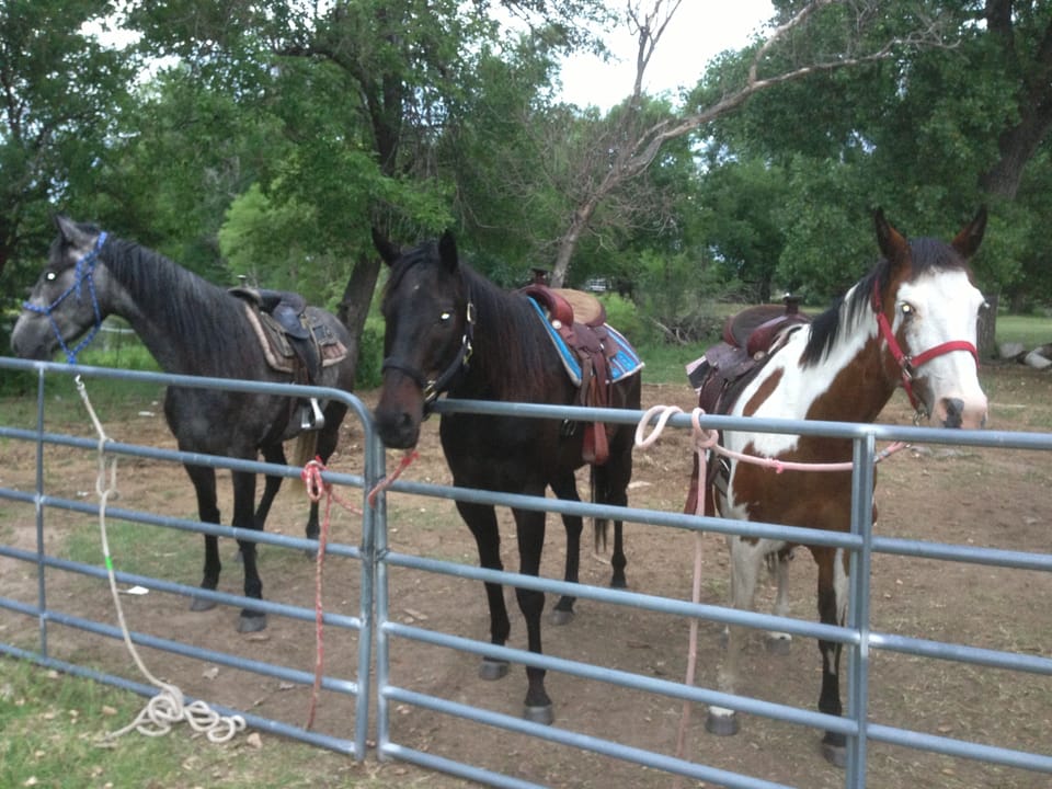 "Line Shack" Enjoy a horse back ride while staying at the PondaRosa Inn.