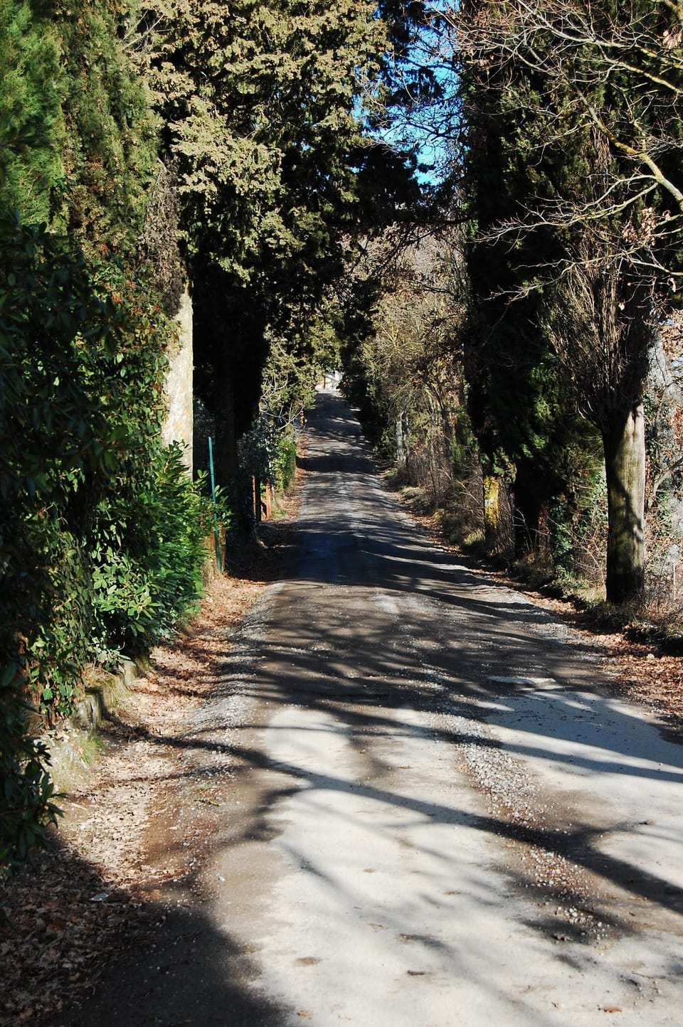 Via del Poggione, house approach