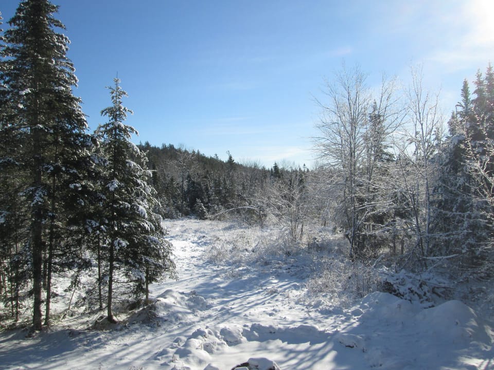 View from the back deck in winter