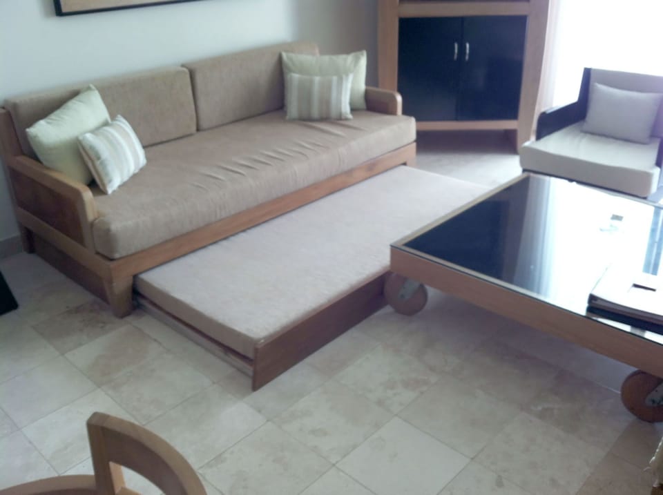 Living Room with Sofa and Pullout