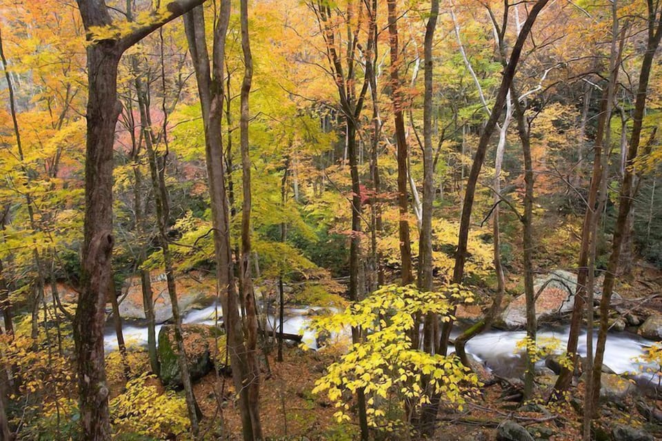 Area scenery / river outside of resort