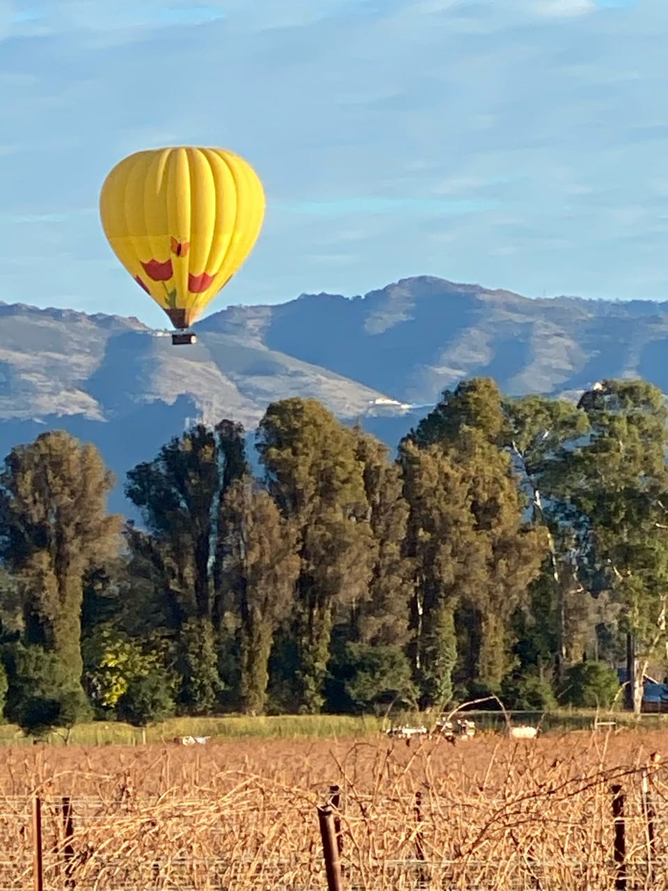 Balloons in the mornings 