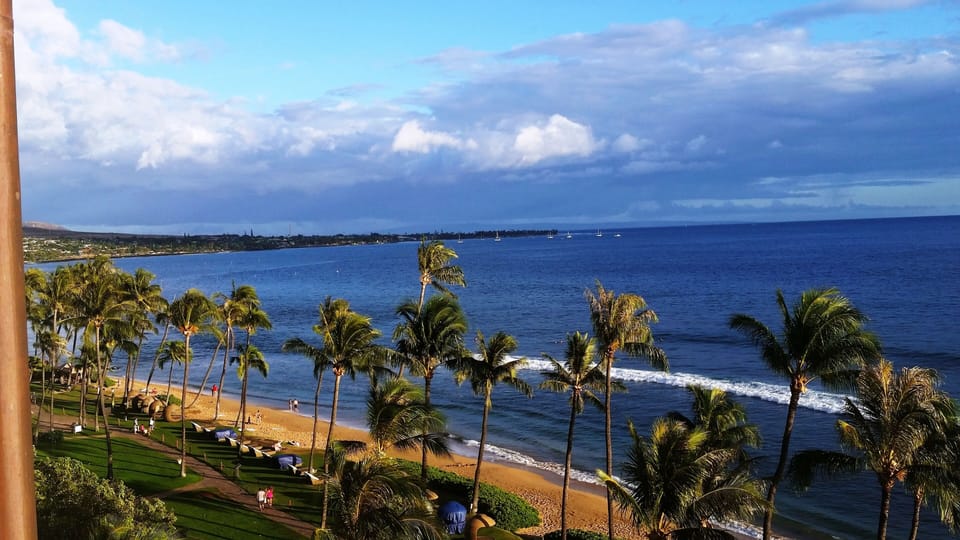 View from main terrace