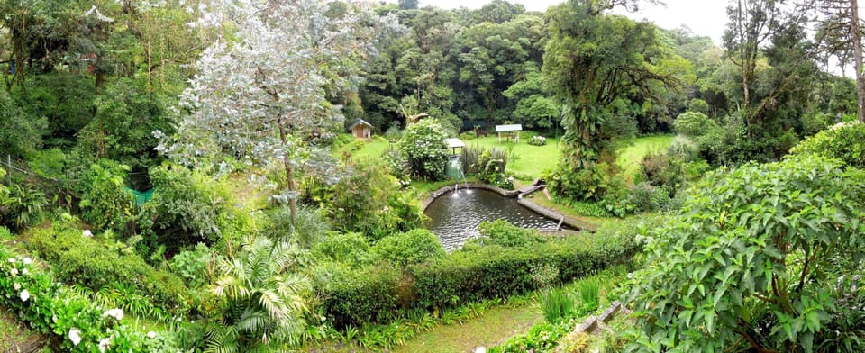 View from Balcony