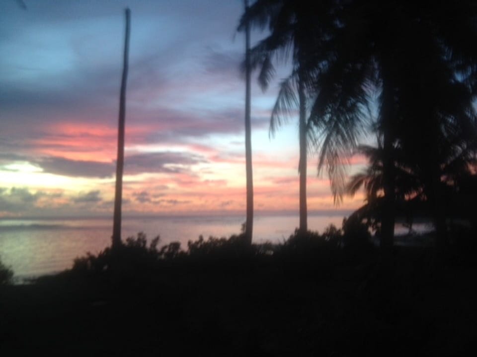 Beautiful Daily Sunrise