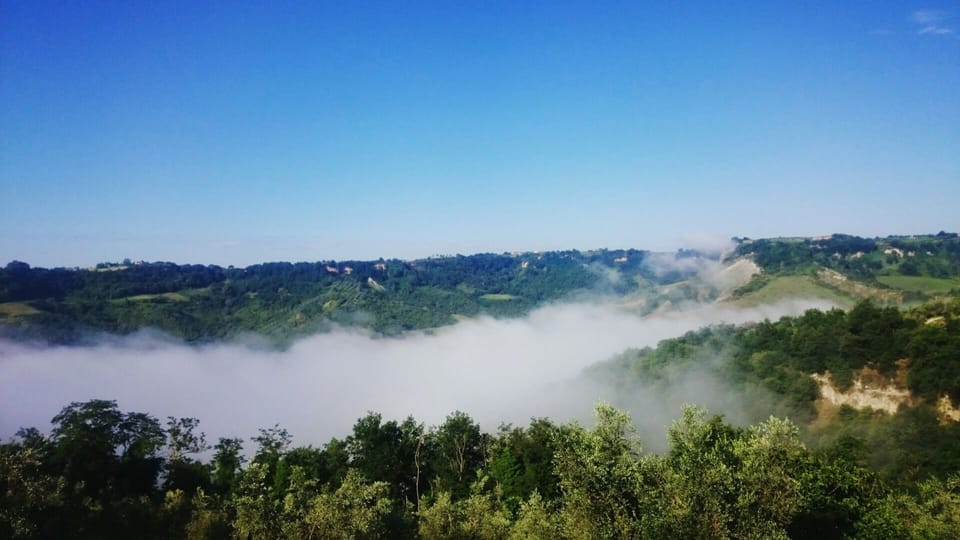 Il Poggio dell'Artilla, an oasis of peace to relax and regenerate Farm Stay in Lazio