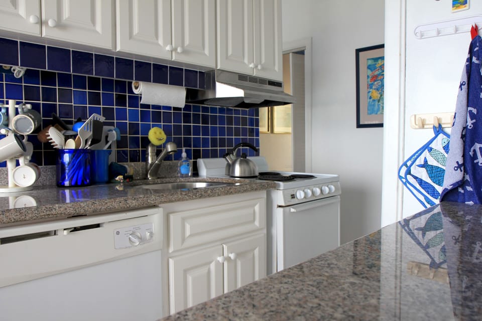 The kitchen area with dishwasher and garbage disposal