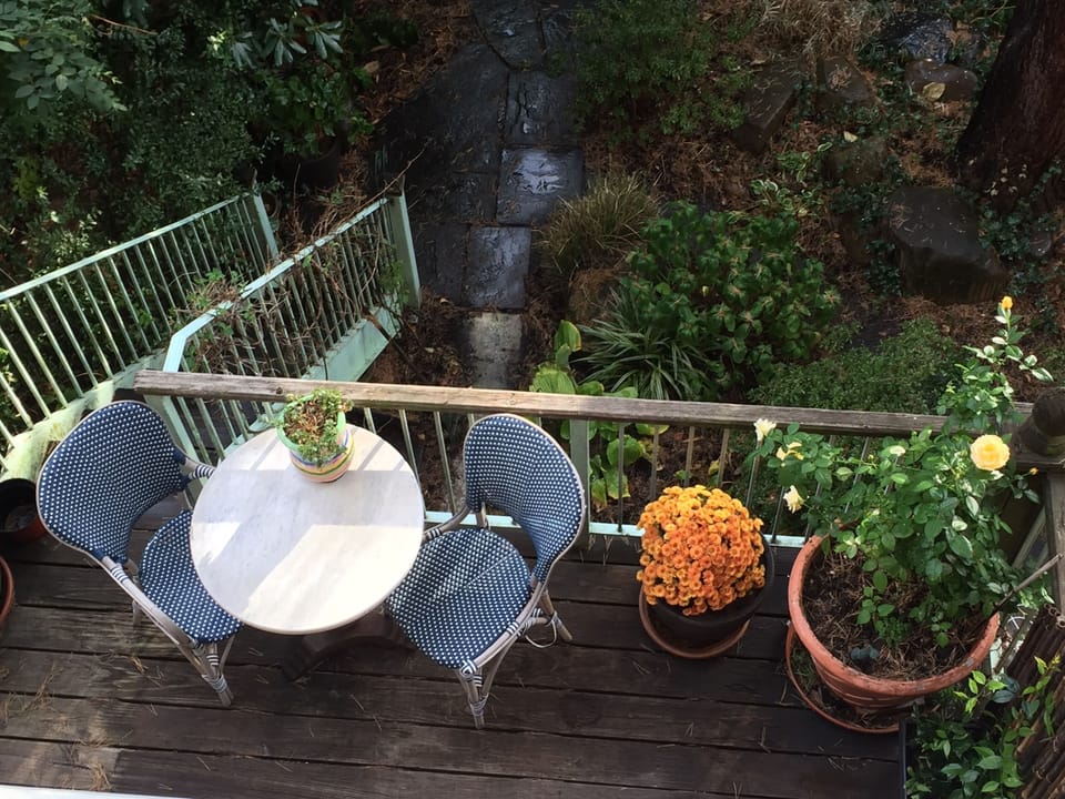 View of the terrace 